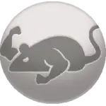 catmouse icon